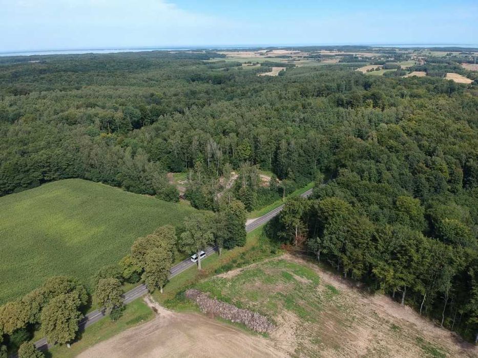 7,4 HA GRUNTU ROLNEGO – HUTA ŻUŁAWSKA – Asfalt – Blisko Elblaga