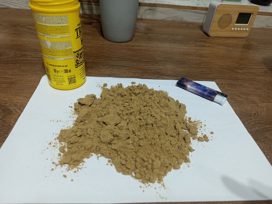 Zamiennik artemia solowiec zamiennik pokarm karma