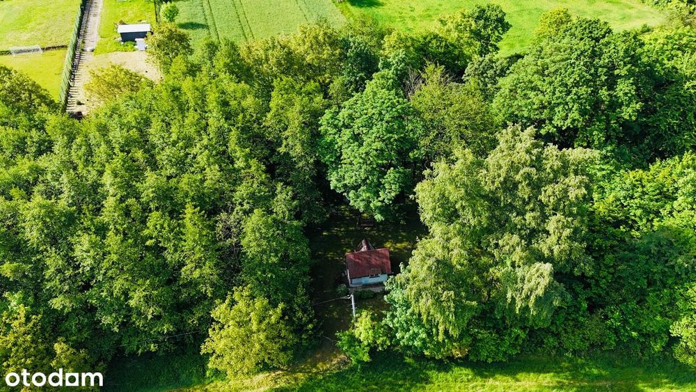 Zadbana działka rekreacyjna z domkiem letniskowym Biskupice - Widok 5