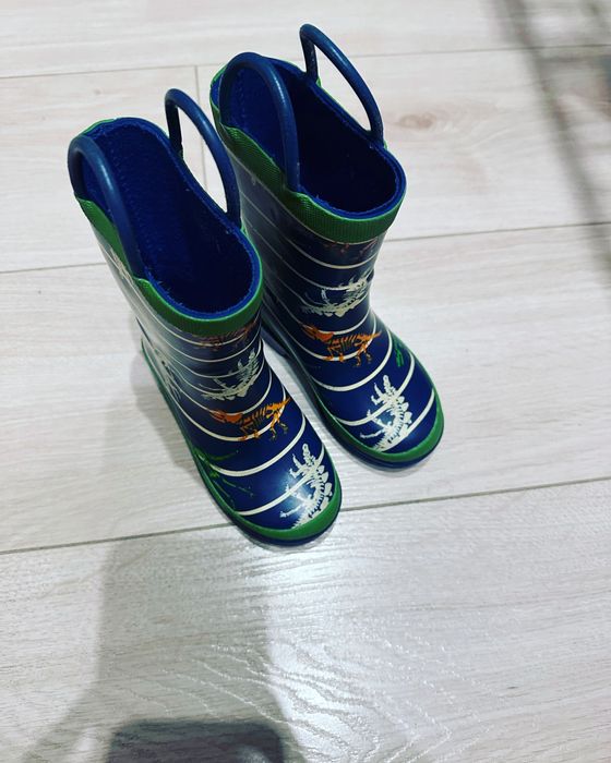 Резиновые сапоги