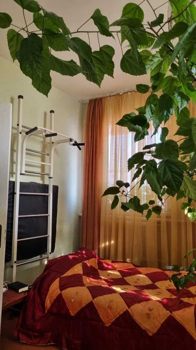 Дом, с.Затишье, Раздельнянский р-н, 391556