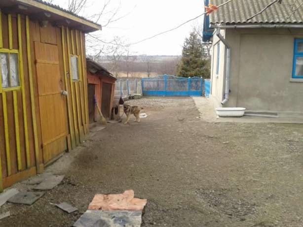 Будинок 32 м² + газ, літня кухня, 27 соток - Пробіжна