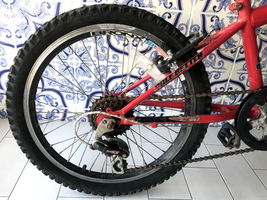 Bicicleta BERG *USADO*