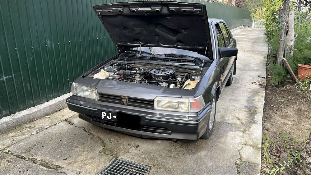 Rover 213