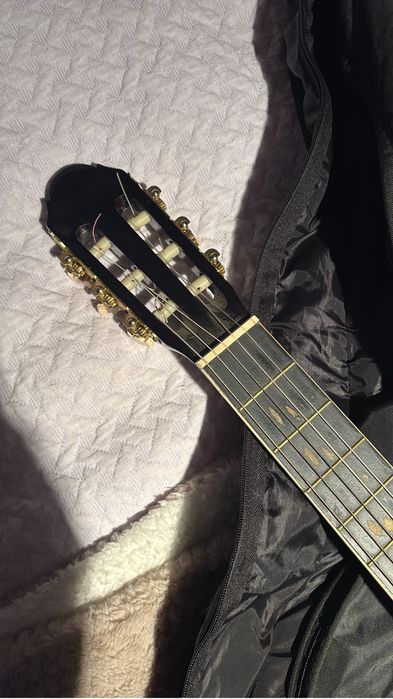 Guitarra Acústica XP (Xtreme Performance) | Estilo Único de Skate