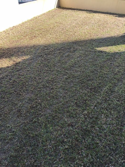 Jardins e afins com dedicação