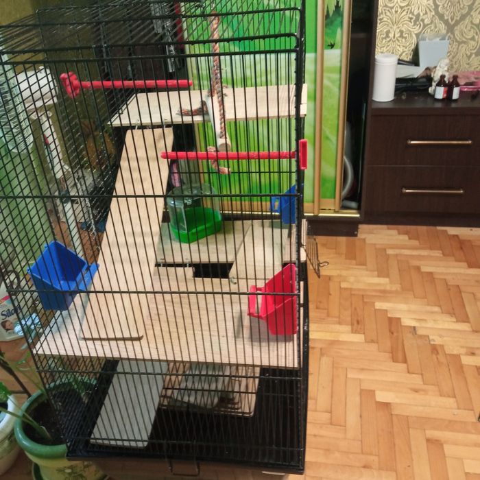 Клітка для папугая