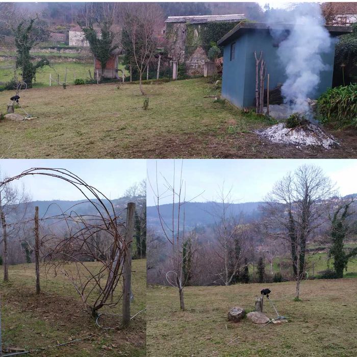 Limpeza de terrenos