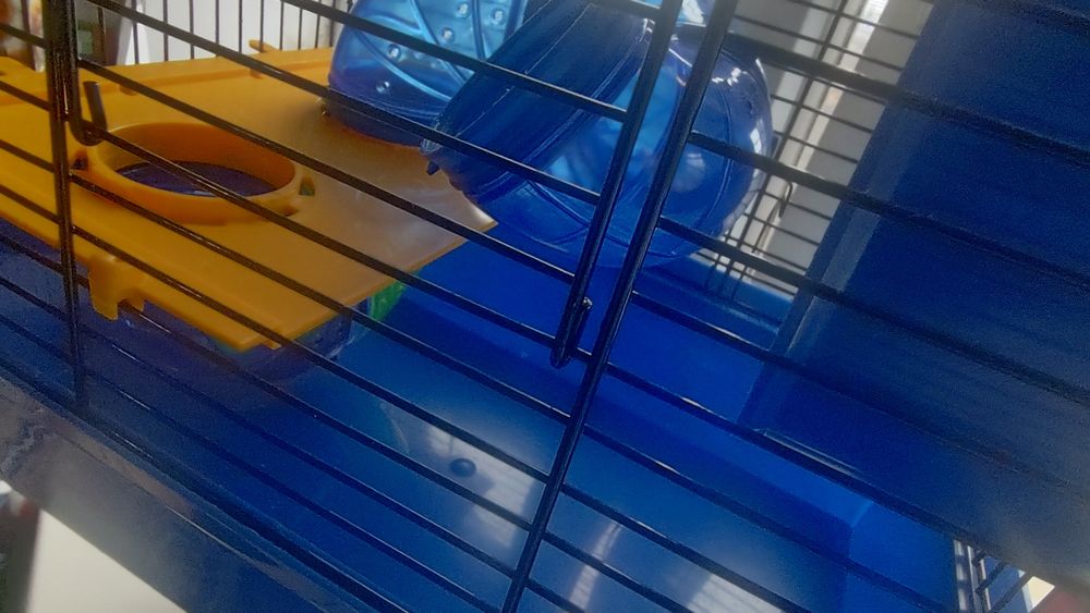 Клітина для гризунів, Хом'яків.