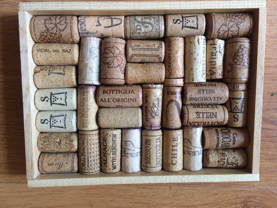 Obraz / kompozycja z mchu chrobotka i korków po winie