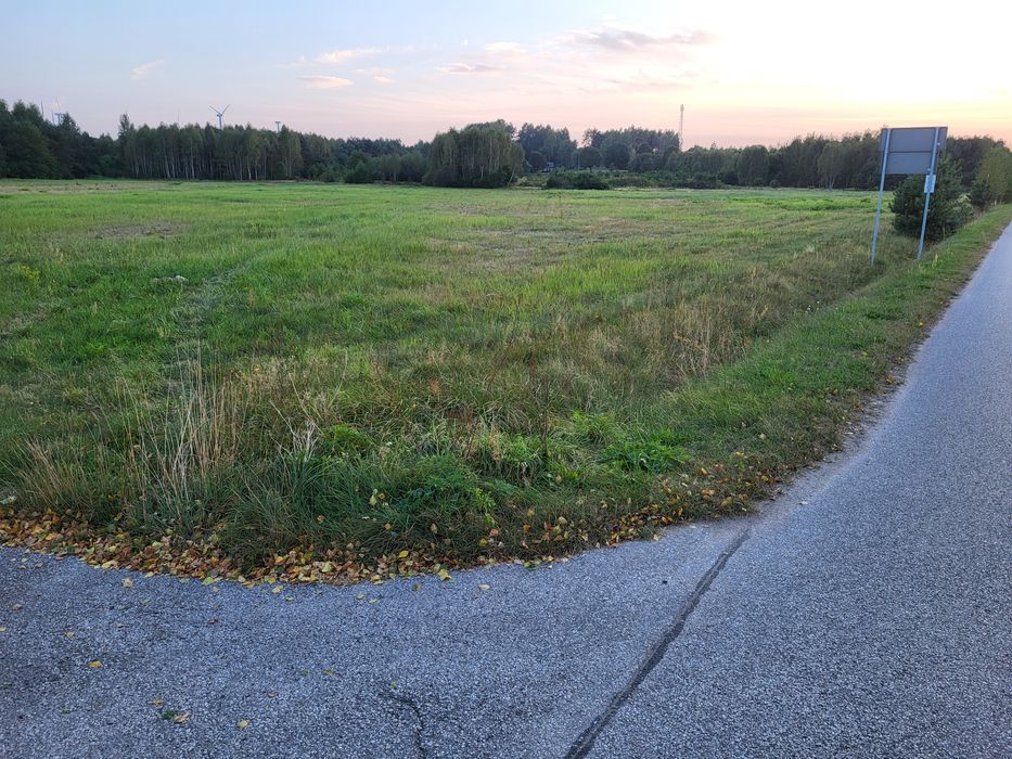 Wyjątkowa działka rolno-budowlana w Miedzierzy – 3 km od Sielpi! - Widok 6