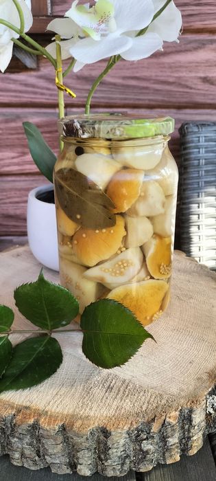 Grzyby marynowane rydze prawdziwki