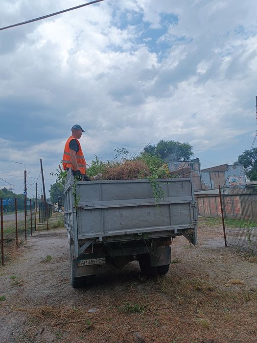 Уборка участка под ключ, покос травы, спил деревьев, корчевка пней.