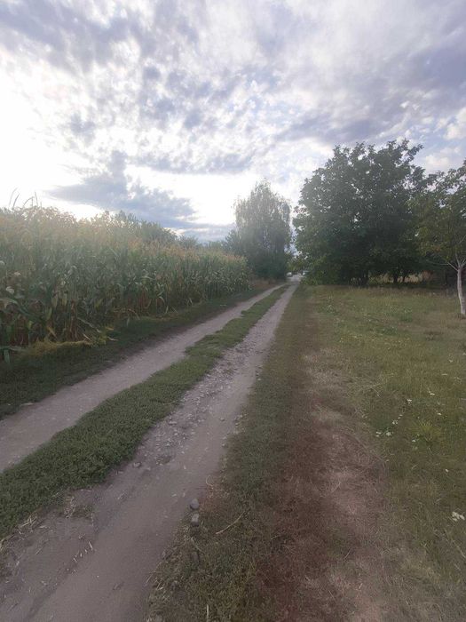 Продам будинок в селі Котюжинці 3030