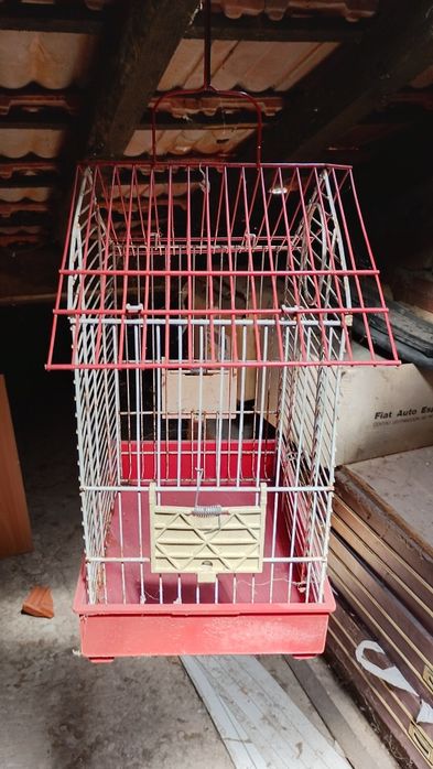 Gaiolas para canários piriquitos