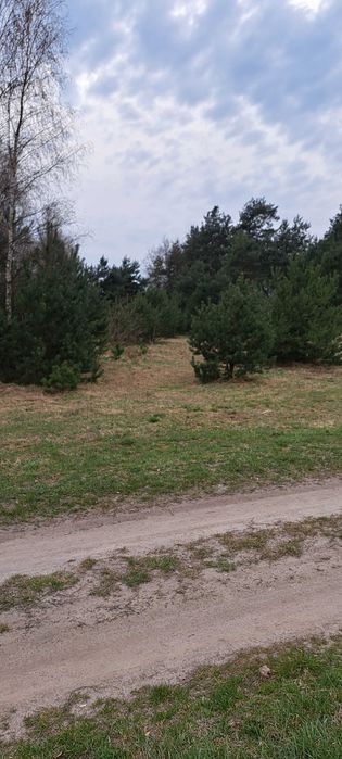 Działka z warunkami zabudowy w Siodle