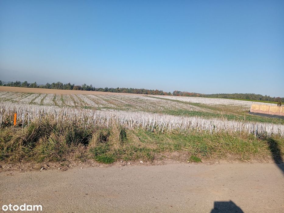 Działka budowlana 1200m² z mediami i dojazdem - Widok 3