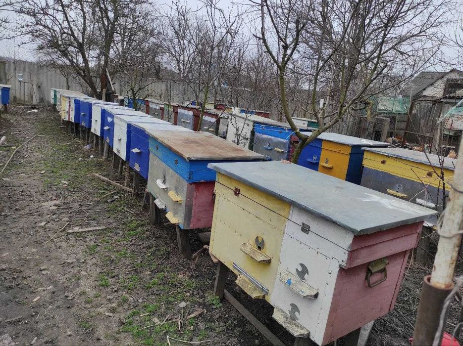 Продам вулики. Власного виробництва можливо і пасіку