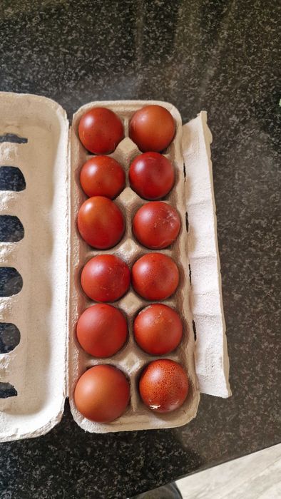 Ovos de galinhas maran e outras apenas para consumo