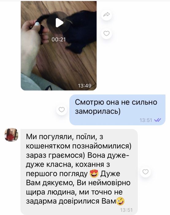 Той  пудель дівчата та хлопчики