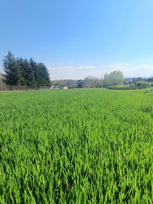 Piękna działka budowlana na sprzedaż 60 ar Dąbrowa Szlachecka - Wyźrał