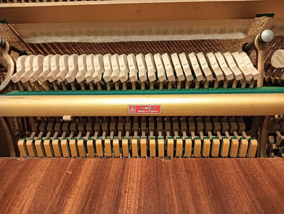 Sprzedam Pianino Calisia
