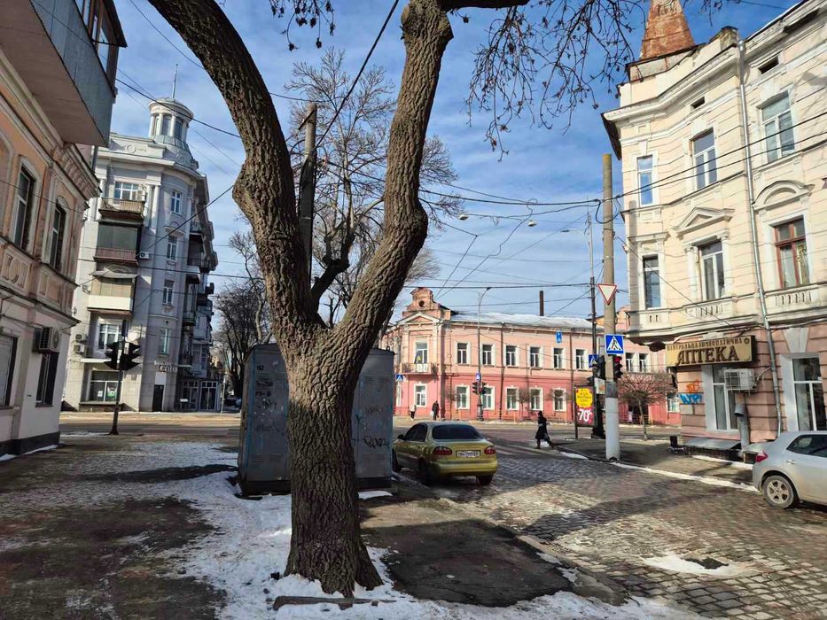 Двухкомнатная Центр/Тираспольская.