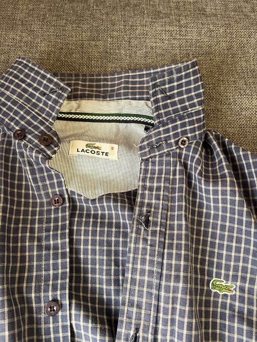 Солочка lacoste s