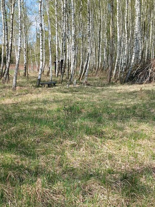 Działka budowlana