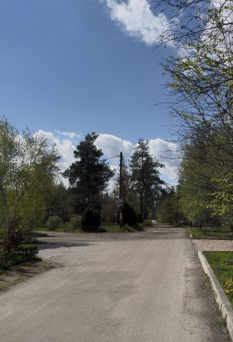 Продам участок 10 соток с соснами.