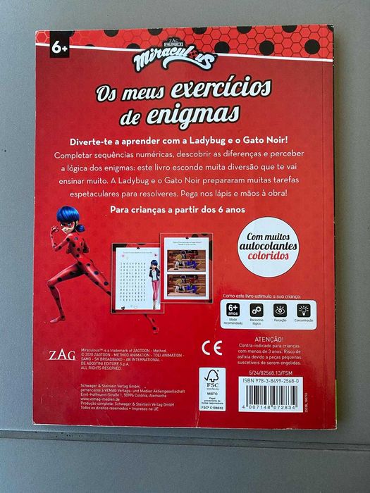 Livro com exercícios de enigmas da Ladybug