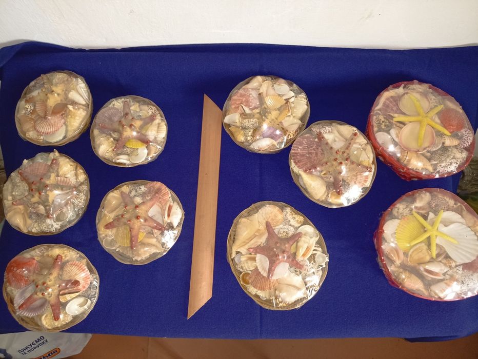 Ракушки морские, океанические