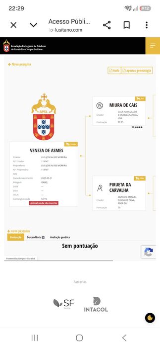 Poldra psl 1 ano