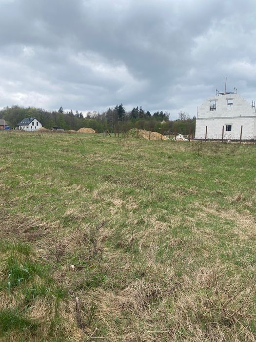 działka budowlana granicząca z lasem