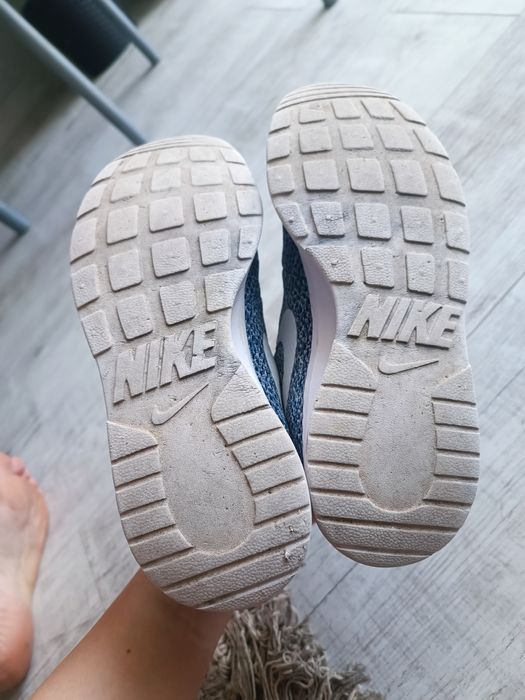 Кросівки Nike Wmns Tanjun Se