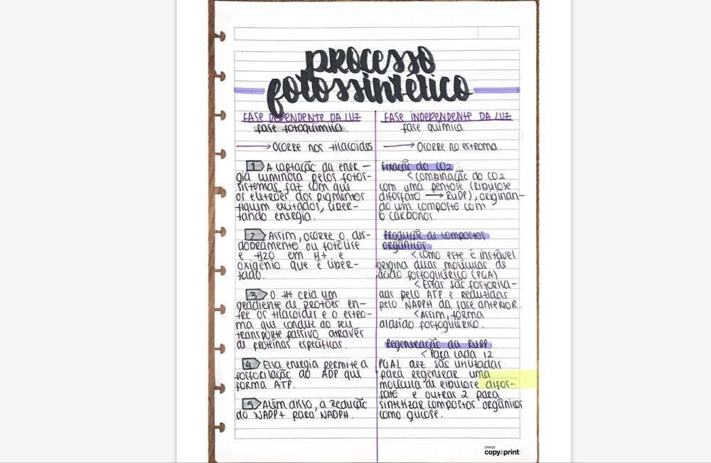 Resumos para preparação de exame nacional IAVE Biologia e Geologia