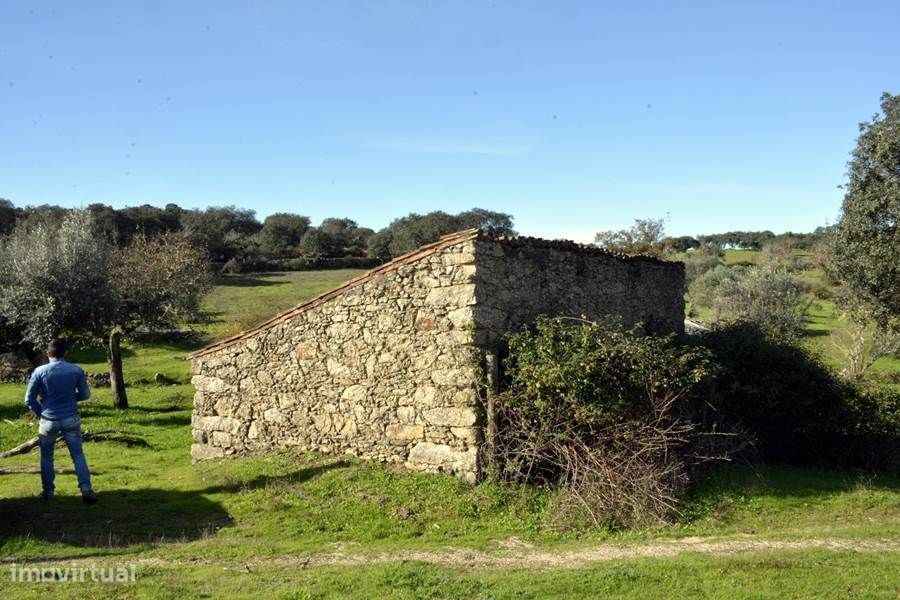 Herdade do Monte da Pedra.