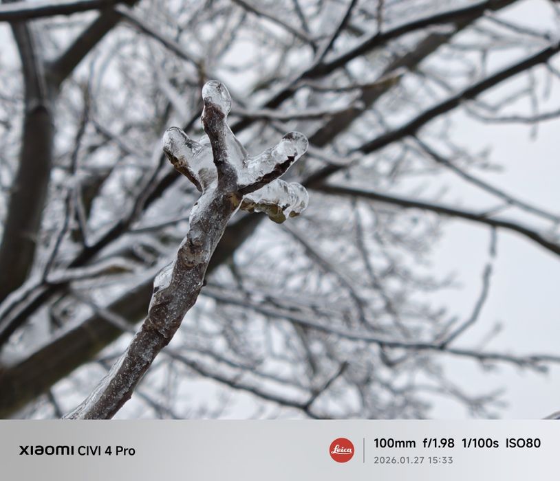 Xiaomi Civi 4 Pro 12/256 Gb china neverlock