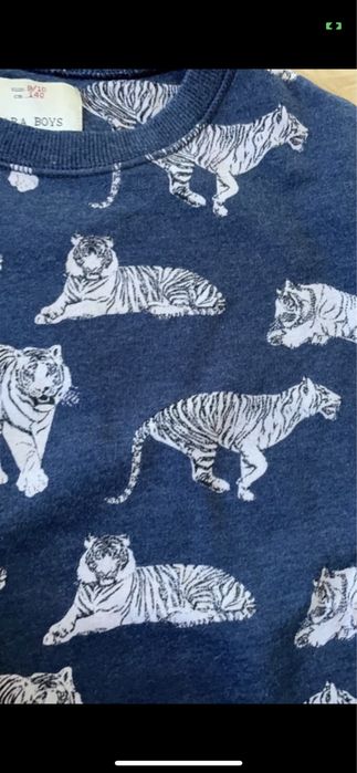 Bluza dla chłopczyka Zara