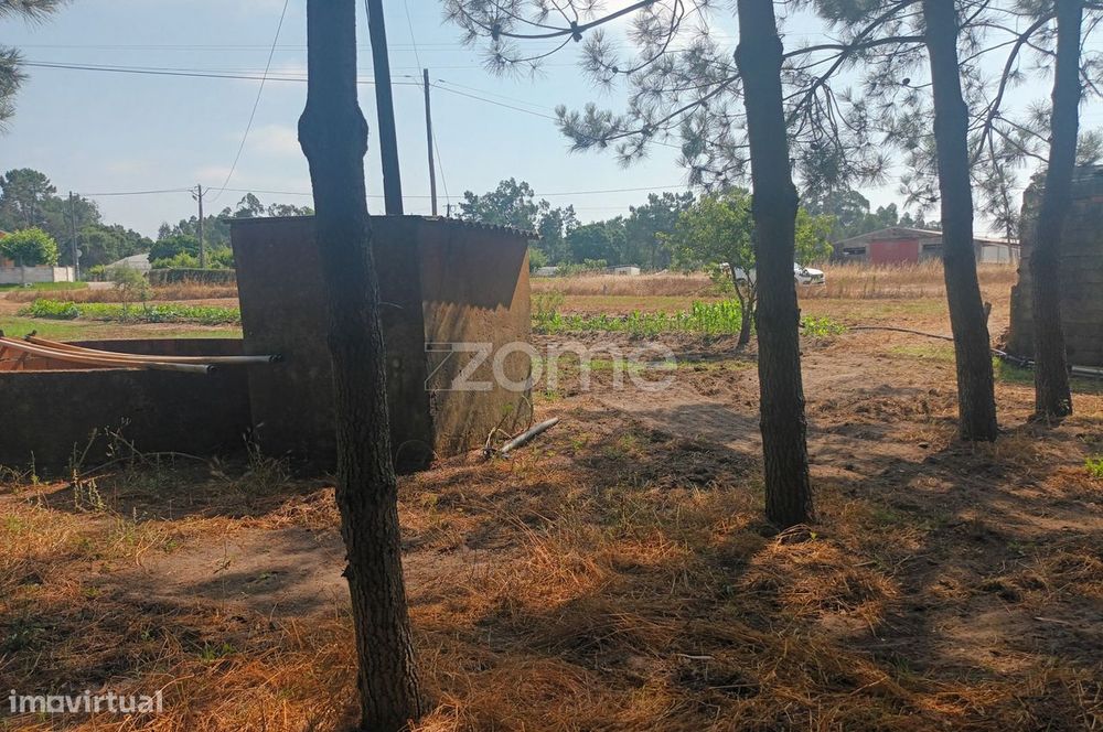 Terreno Agricola em Moita Vaqueira - Arazede — Sanguinheira, Coimbra