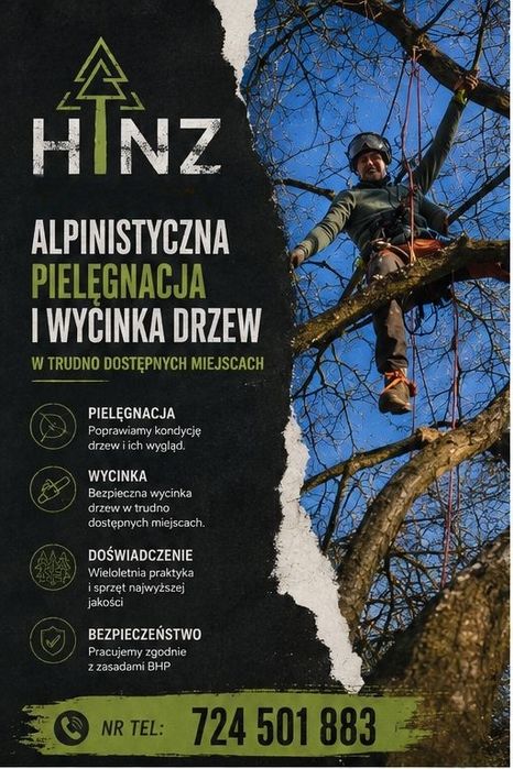 Wycinka/Pielęgnacja Drzew - Alpinistycznie