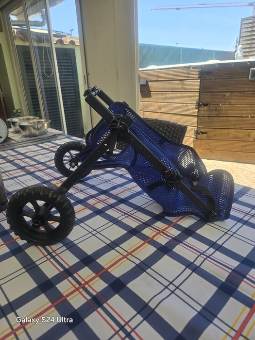 Cadeira de rodas para cachorro.