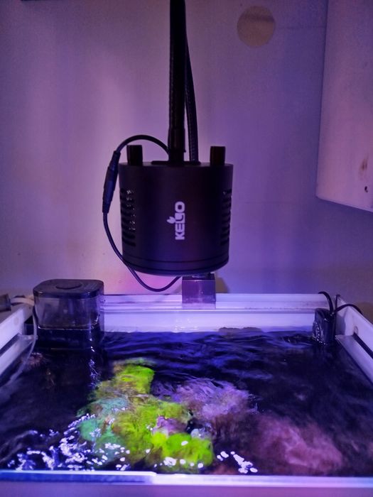 Odpieniacz+filtr Tunze Reefpack