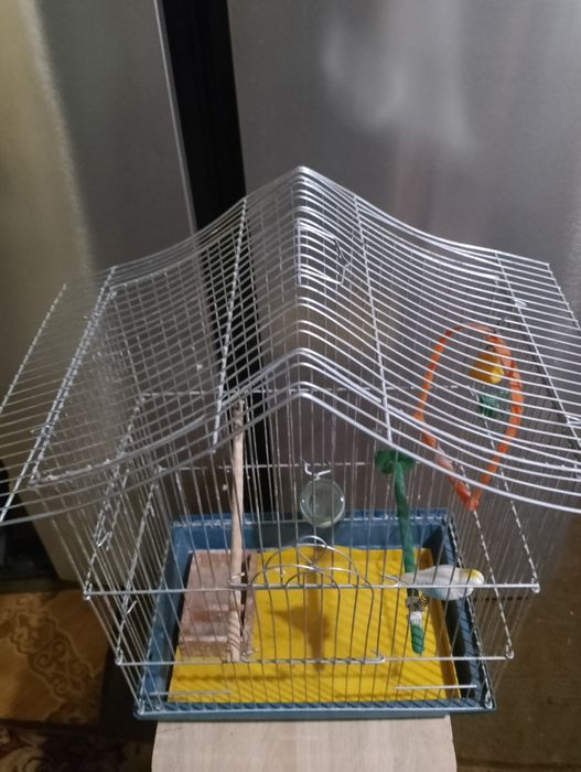 Велика клітка для папуг, за супер ціною! Простора, в гарному стані.