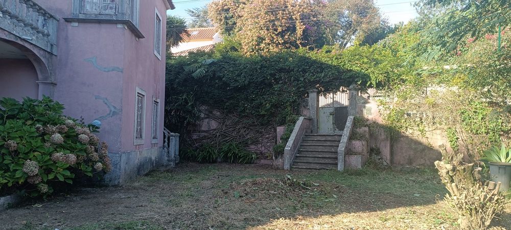 Limpeza de jardim e terrenos