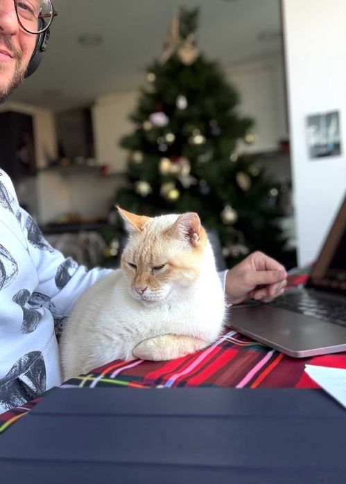 Pet Sitting, Dog Walking & Home Care — Lisboa-Loures