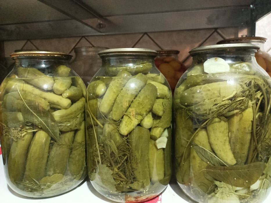 Три 2-х литровых банки - огурцы маринованные в банках