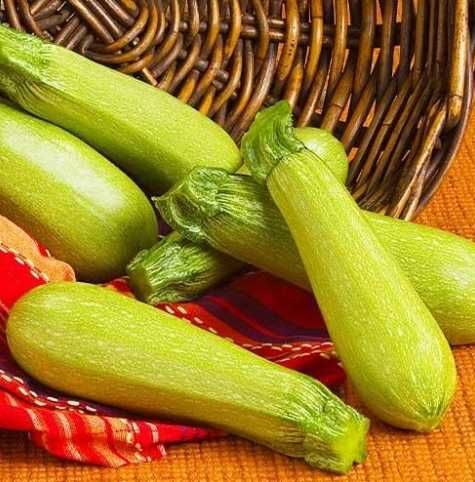 Насіння Кабачка Ангеліна F1 Anhelina F1 Семена Кабачка