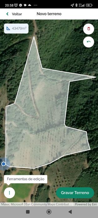 Projeto agrícola de castanheiros