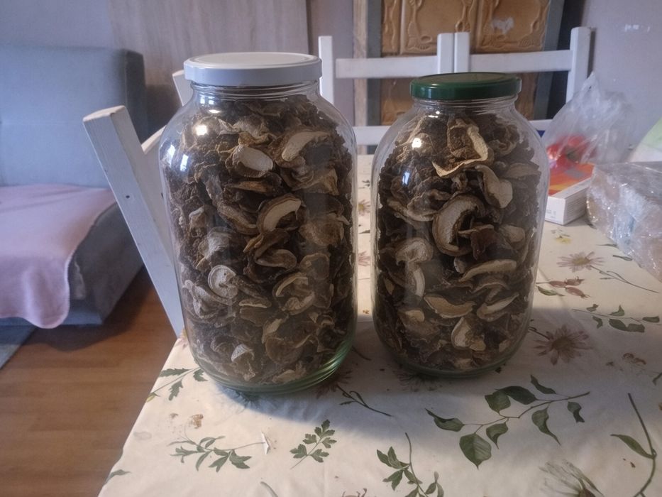 Suszone grzyby 70 zł (800g)